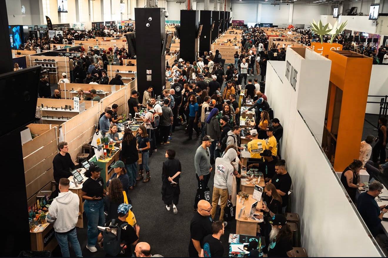 Hall of Flowers Distro vs Traditional Cannabis Suppliers: What’s the Difference?