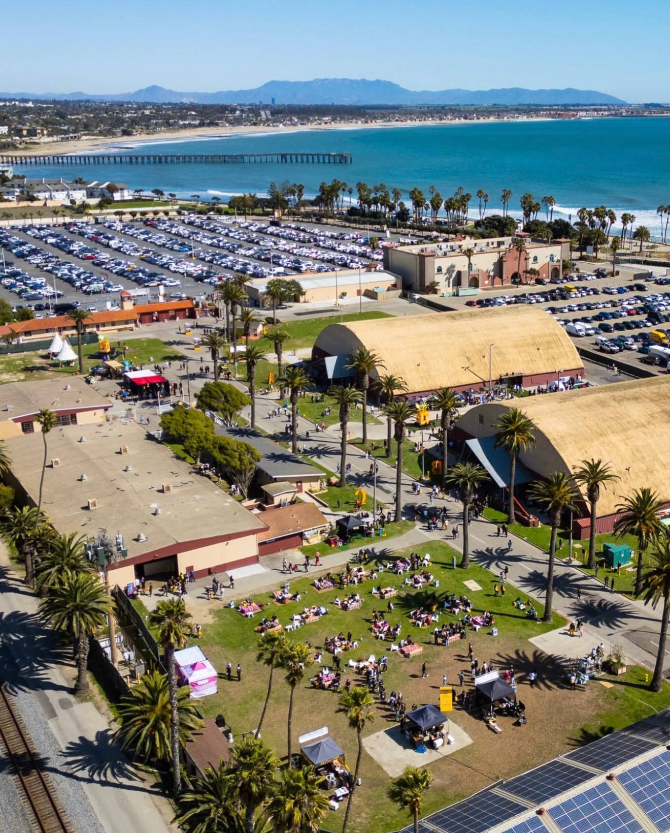 How Hall of Flowers Events Drive Year-Round Cannabis Sales