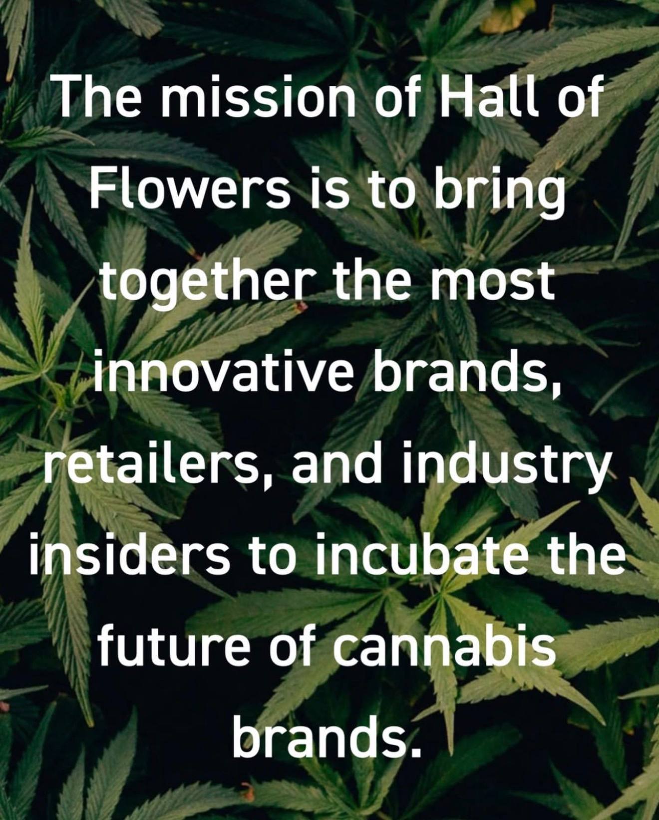 Seasonal Trends in Cannabis Flower Supply: Pricing, Harvest Cycles & Demand