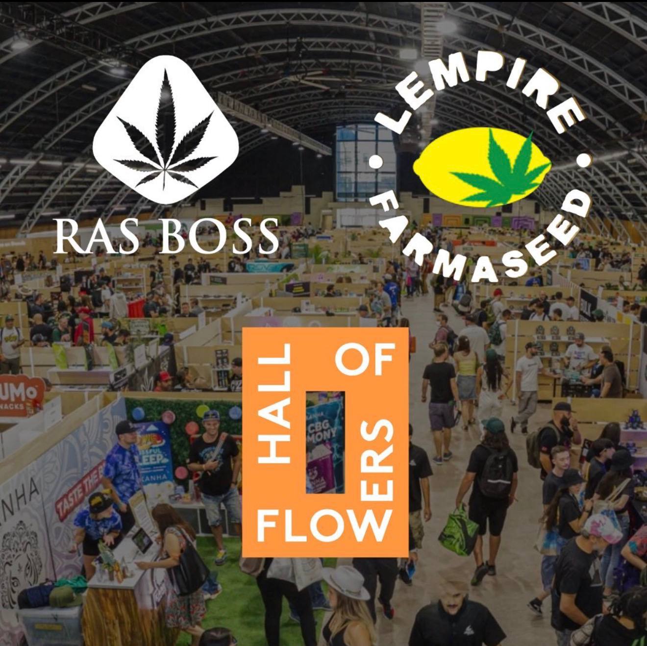 Hall of Flowers Distro Bulk Orders Guide for Retailers