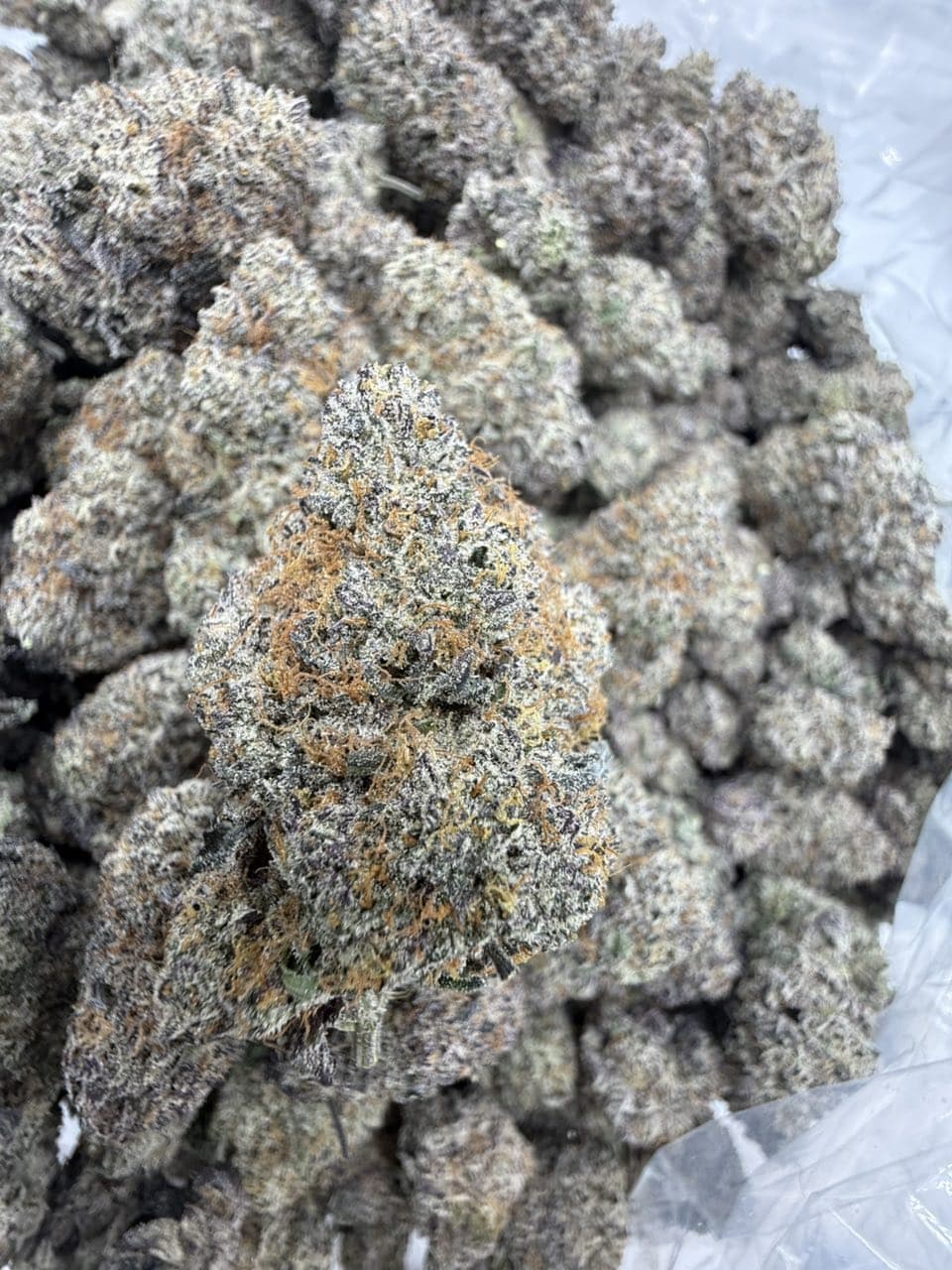 PURPLE LEMON DROP by Hall of Flowers Distro | Exotic Strain