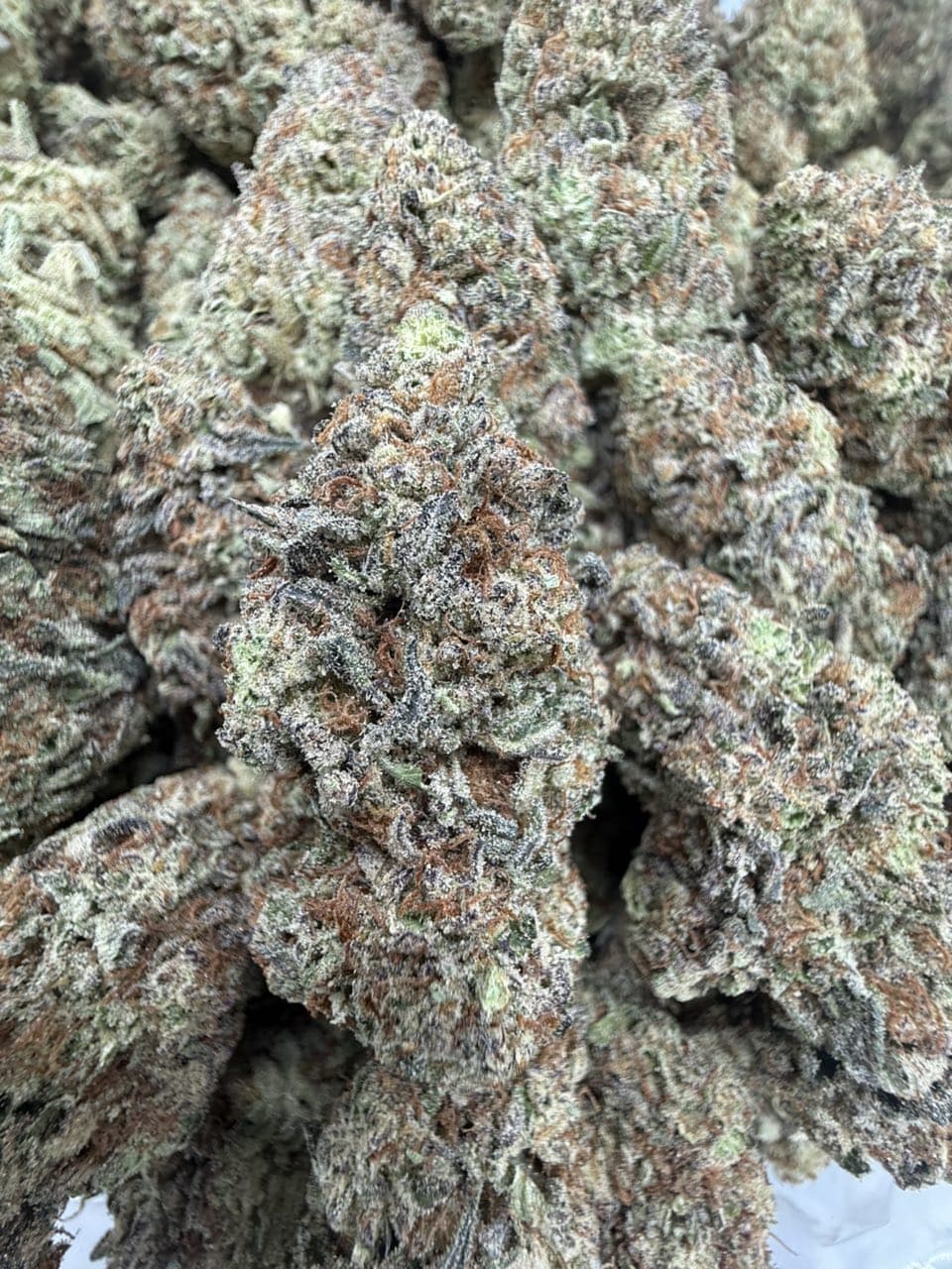 Frosted Bliss Strain | Premium Exotic Flower Experience