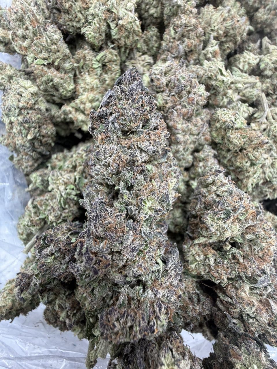 GRAPE MADNESS strain