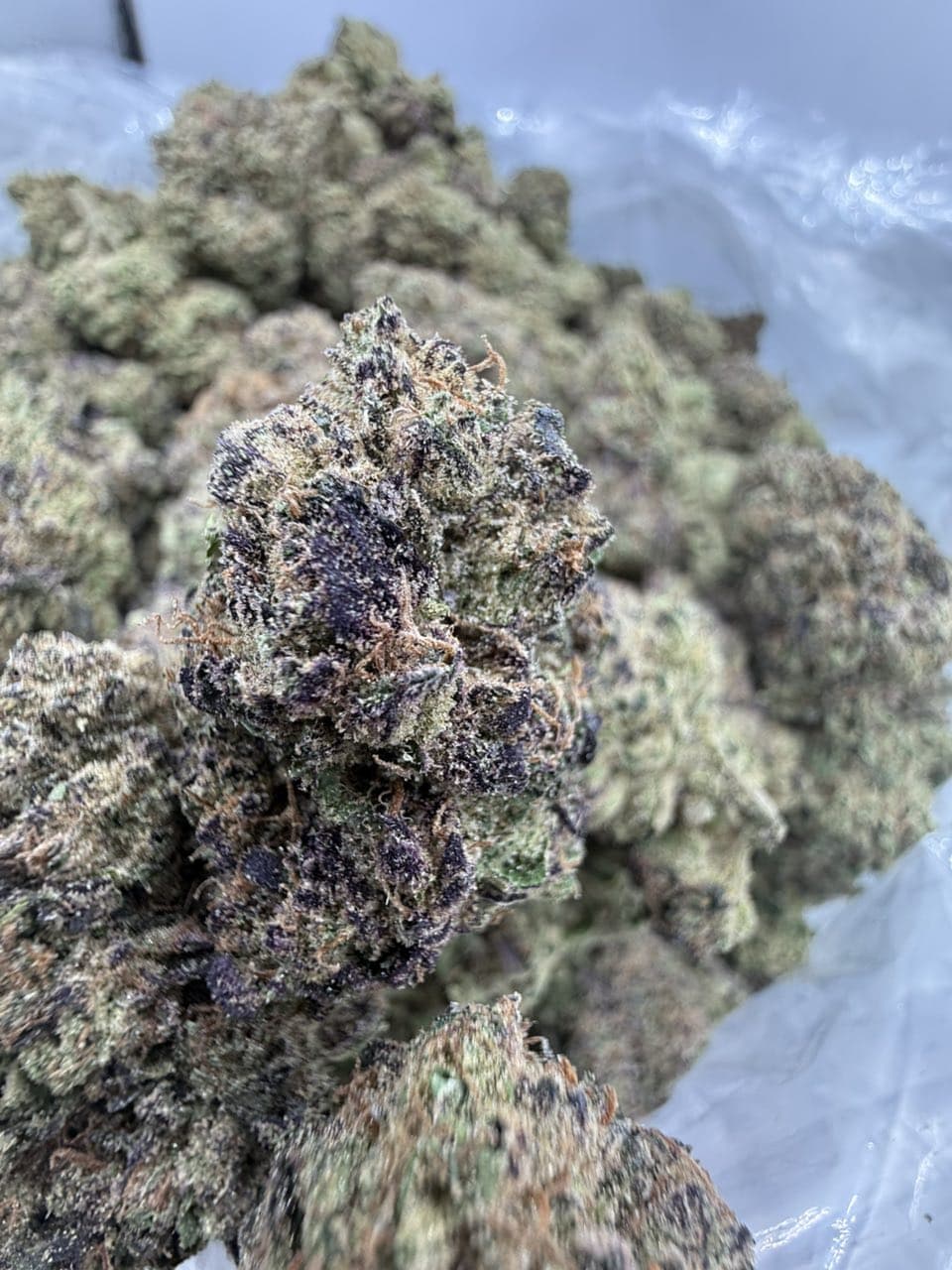 Zour Runtz Strain | Premium Exotic Flower Experience