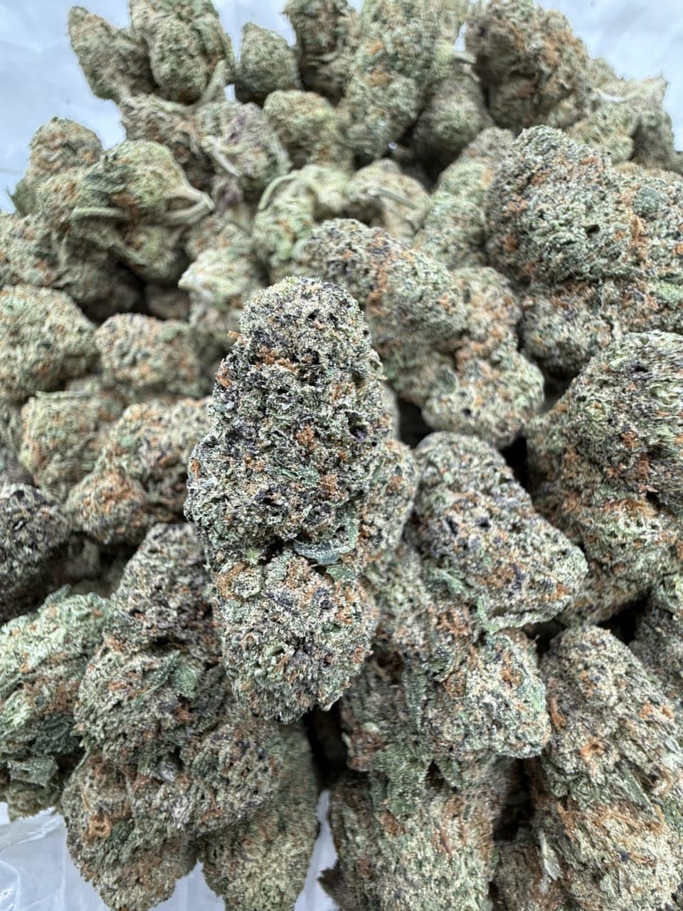 BLUEBERRY FAYGO by Hall of Flowers Distro | Exotic Weed