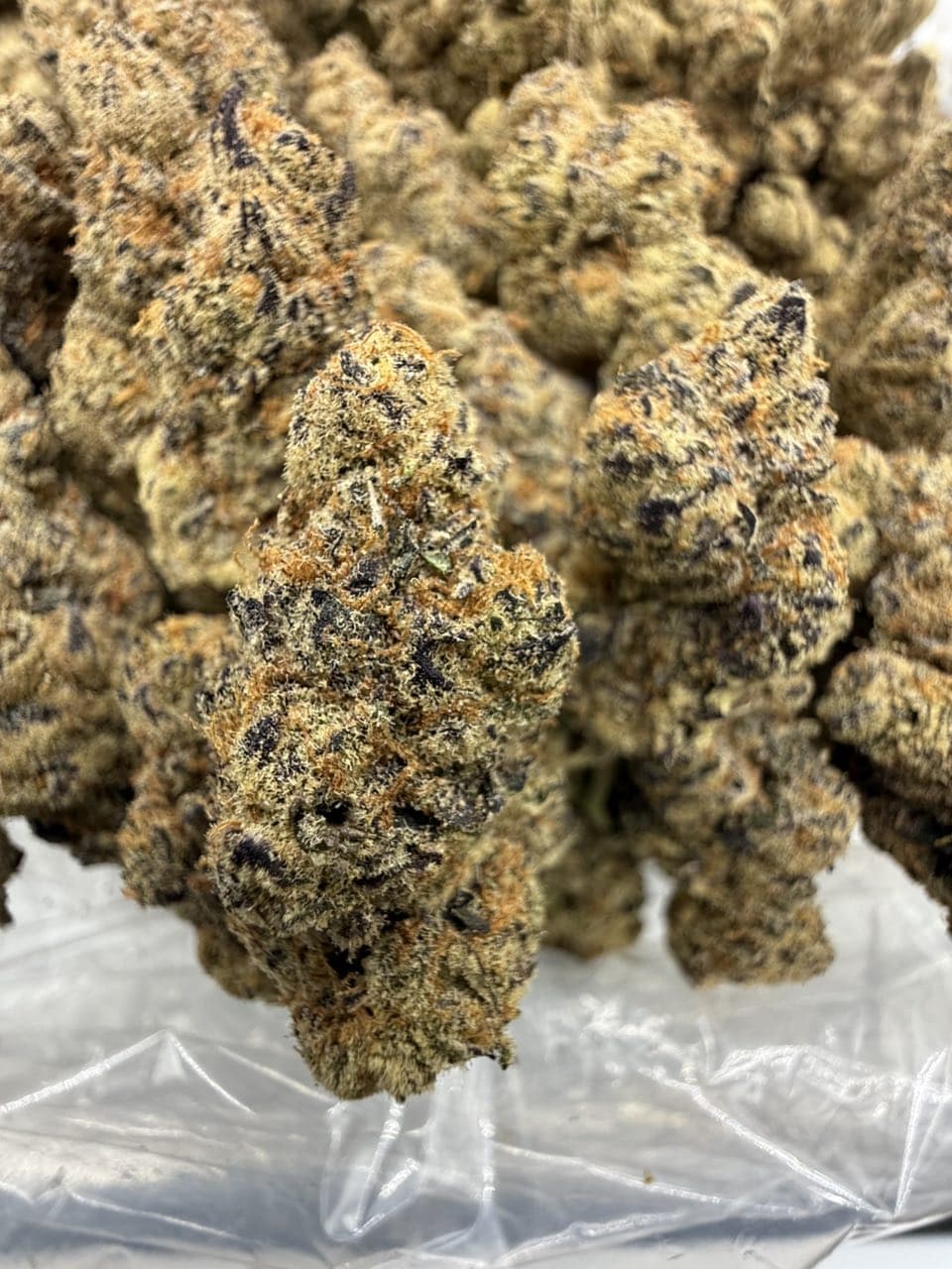 ORANGE CREAMSICLE by Hall of Flowers Distro | Exotic Weed