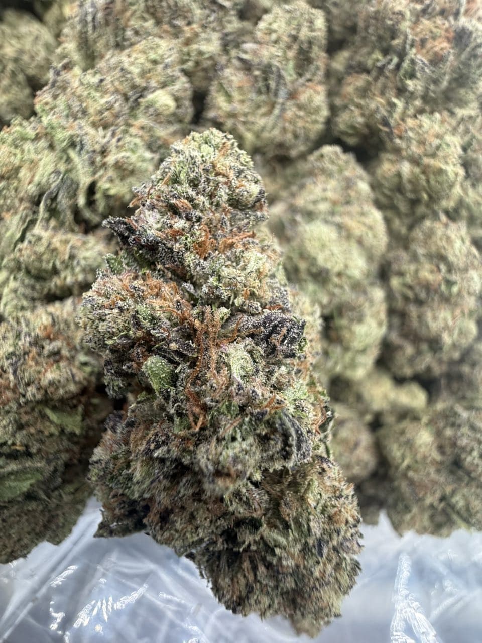 PURPLE THINMINTS by Hall of Flowers Distro | Exotic Weed