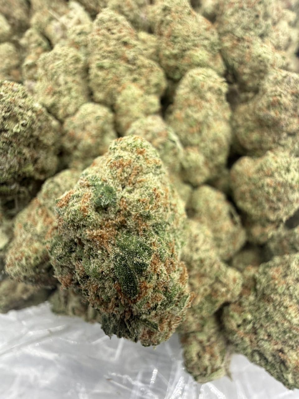 GUAVA RUNTZ by Hall of Flowers Distro | Exotic Weed