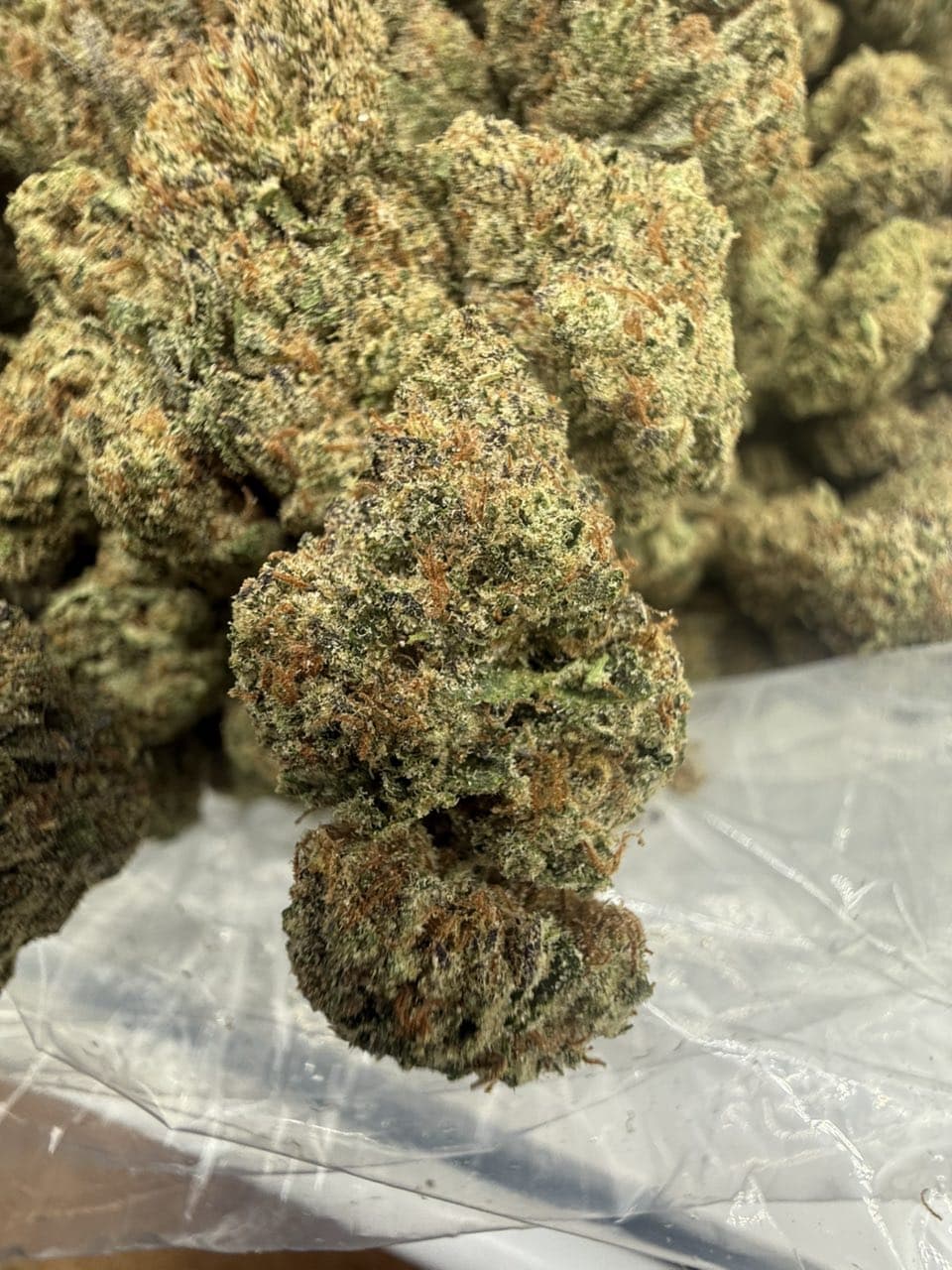 FROSTED POPROCKS by Hall of Flowers Distro | Exotic