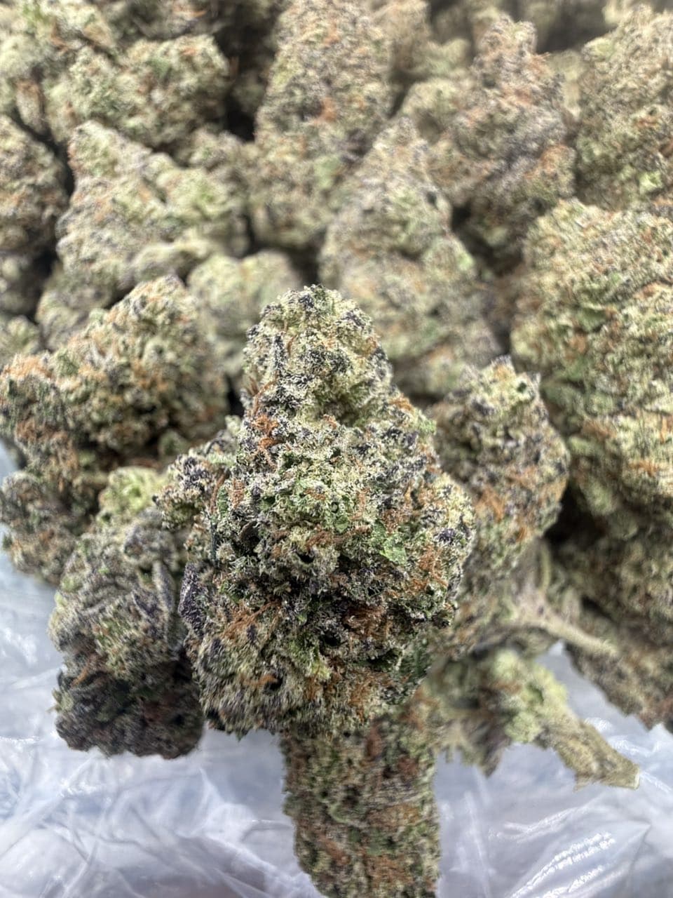 RAINBOW SHERBERT by Hall of Flowers Distro | Exotic Strain