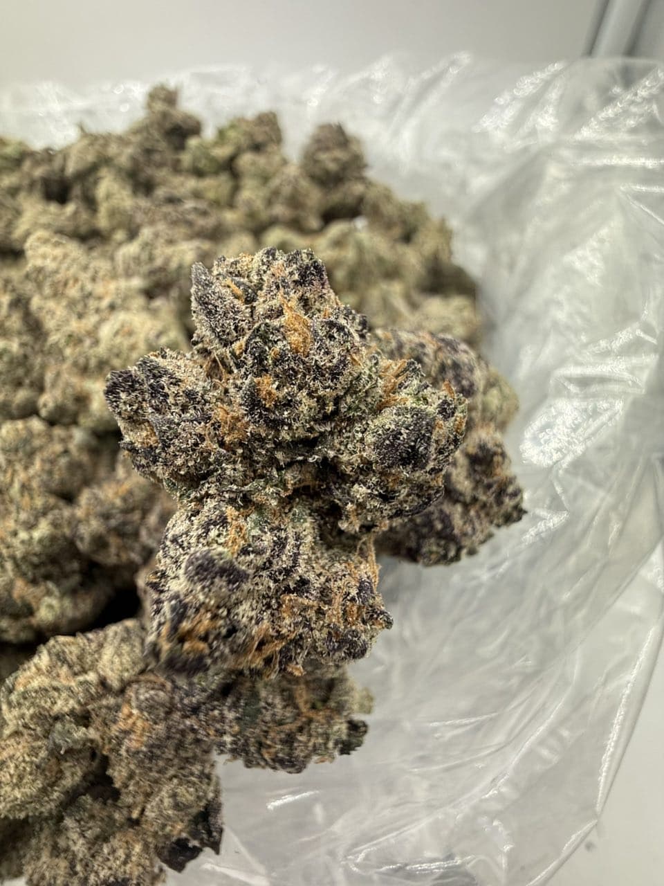 CANDY SOUFFLE by Hall of Flowers Distro | Exotic Weed