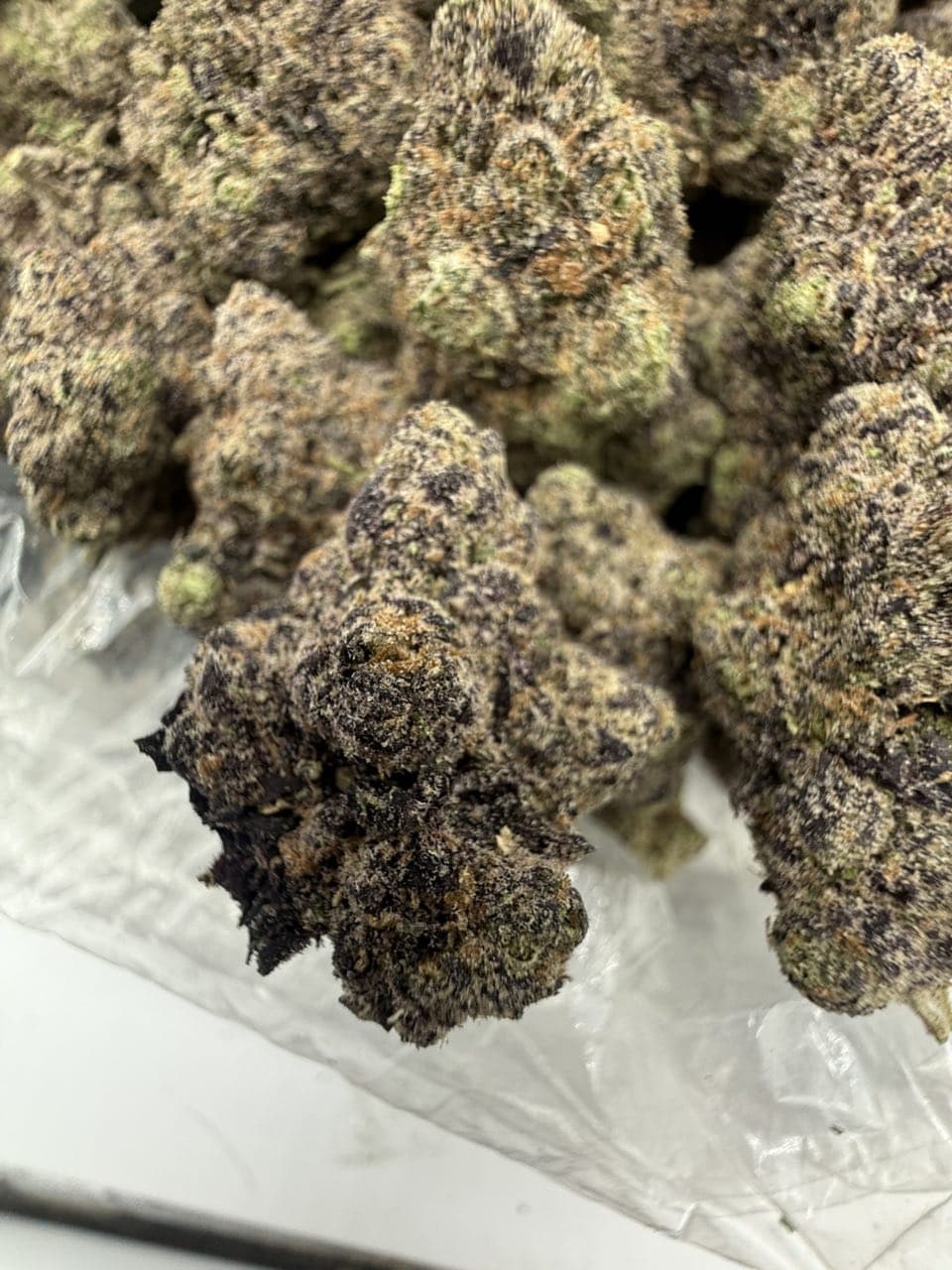 GASSY BOMBS by Hall of Flowers Distro | Exotic Gas Weed
