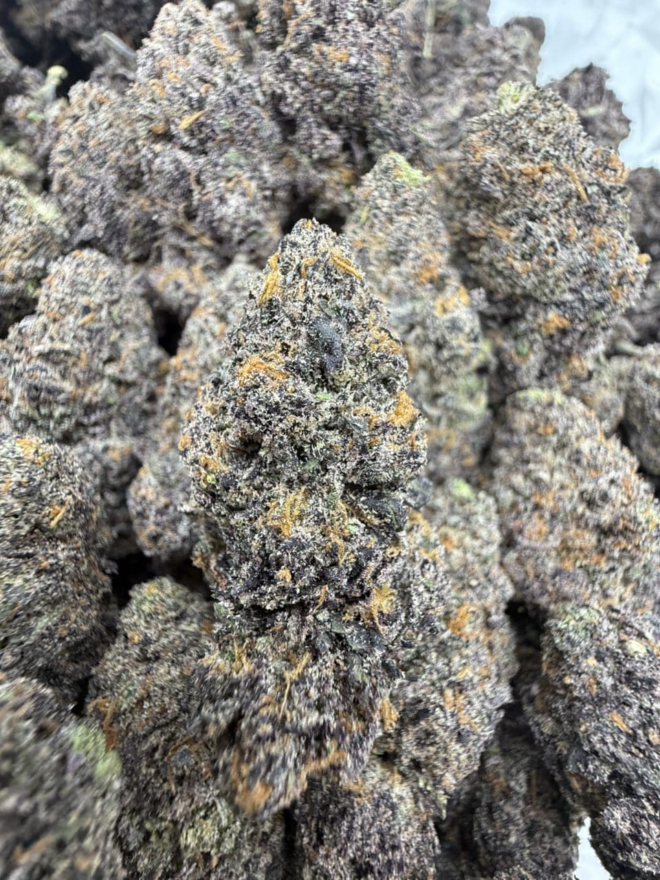 Purple Candy Runtz by Hall of Flowers Distro Weed