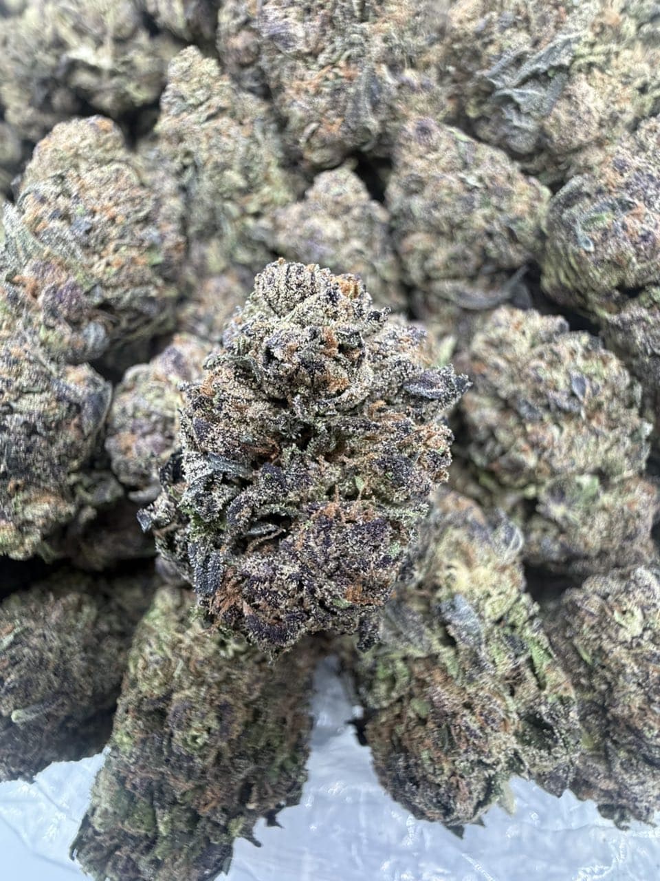 Lemon Cherry Mochi by Hall of Flowers Distro Weed Strain