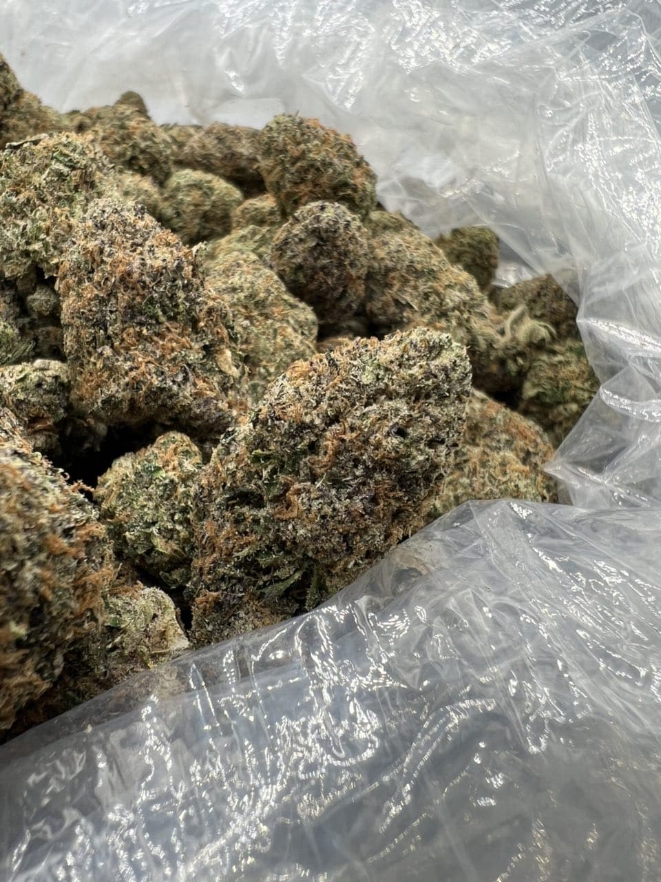 Cherry Slusher Strain | Sweet Cherry Exotic Flower